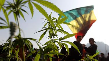 Nueva York legaliza oficialmente la marihuana para uso recreativo