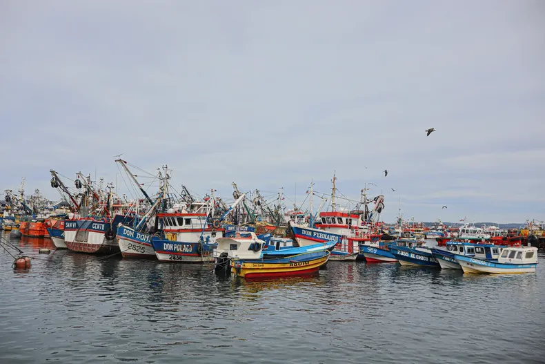 17383 a uno 1653349.webp