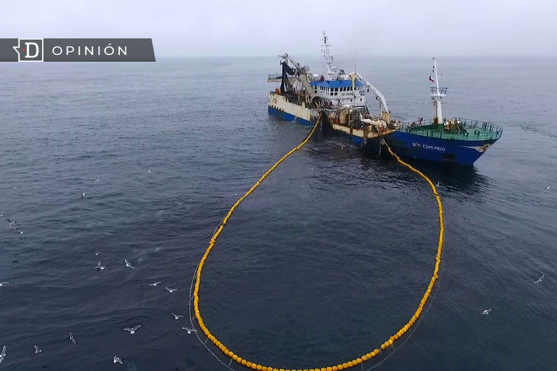 Diseno sin titulo 2023 05 08T154743.346.png