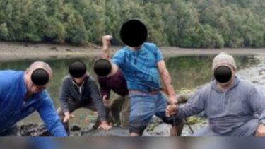 Sernapesca ingresa denuncia a Fiscalía por brutal maltrato a tiburones en Chiloé