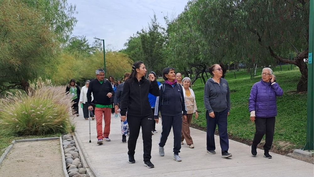 Vivir fuera de la región Metropolitana no conduce inevitablemente al deterioro cognitivo, sino que refleja desigualdades estructurales entre territorios.