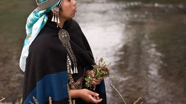 El Desconcierto | Machi Millaray Huichalaf.jpg