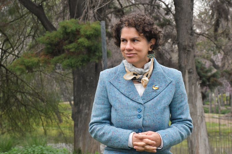 Ministra del Medio Ambiente Maisa Rojas.jpg