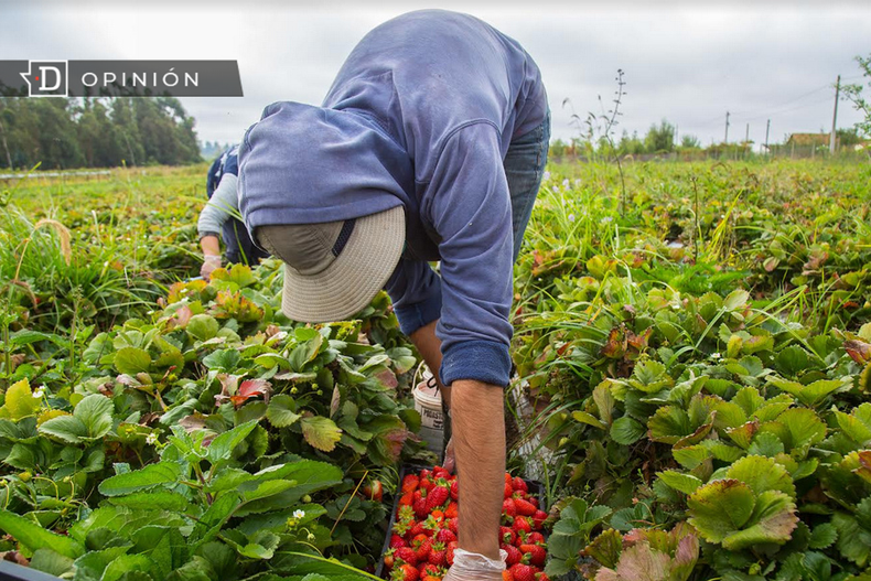 Diseno sin titulo 2023 06 04T213138.390.png