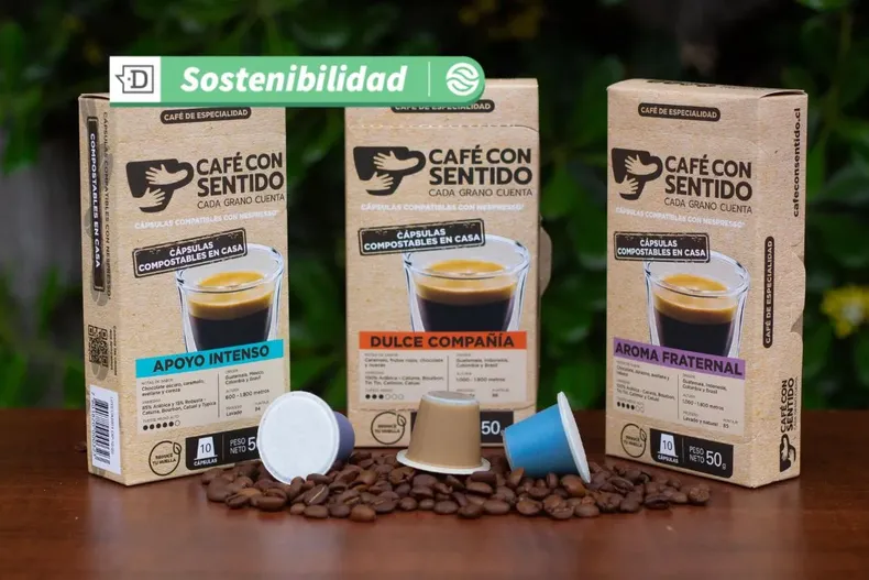 19819 diseno sin titulo 2025 07 28t125843.webp