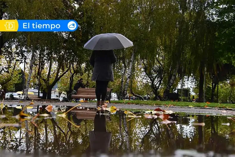17410 alarma meteorologica.webp