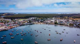 Gobierno de Kast busca retirar proyecto de nueva Ley de Pesca y apostará por reformar norma actual Gobierno de Kast busca retirar proyecto de nueva Ley de Pesca y apostará por reformar norma actual