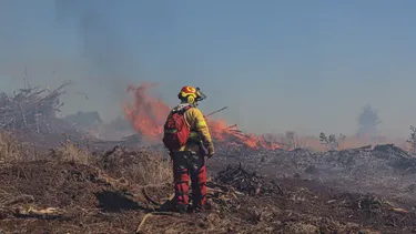 Conaf logra contener incendios forestales en La Araucanía mientras monitorea nuevas amenazas desde frontera argentina