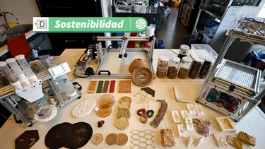 Productos enfocados en la biofabricación: Laboratorio de la U. de Chile utiliza hongos, algas y residuos orgánicos