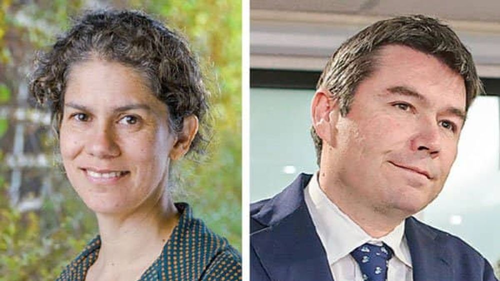 Expertos difieren por plazo máximo para que Chile alcance la carbono neutralidad