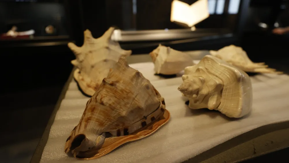 Más de mil caracolas de Pablo Neruda incluye exposición gratis del poeta en la casa central de la U. de Chile