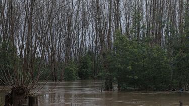 Senapred vuelve a decretar Alerta Roja en Arauco: Evacuación por desborde de río Pichilo
