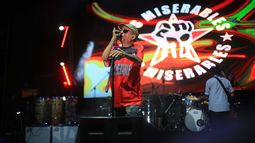 Festival Maleza suma a Molotov, Los Miserables, La Combo Tortuga y más bandas