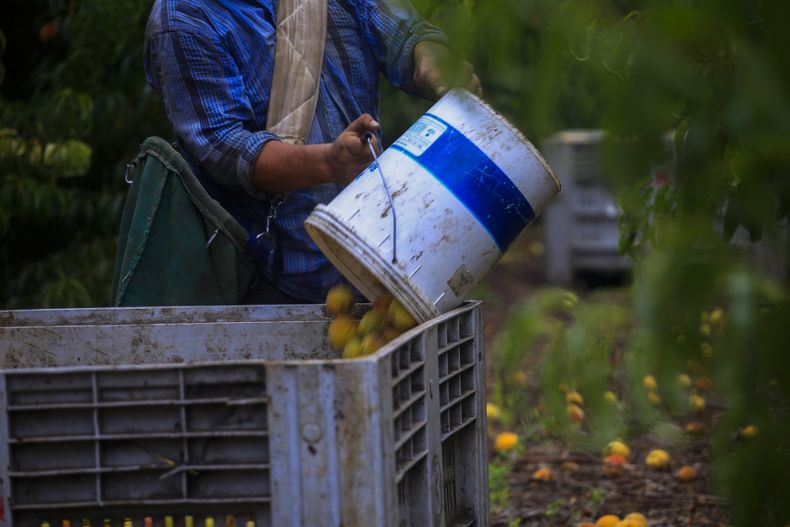 Agricultores scaled.jpg