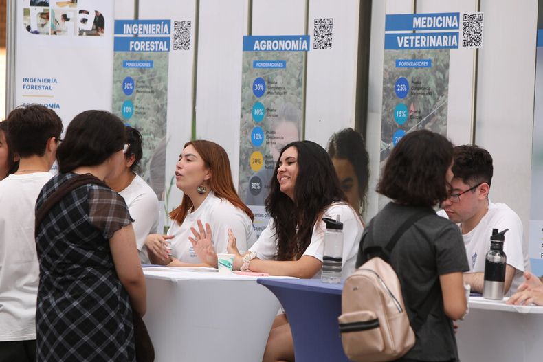 mujeres en la ciencia.jpg