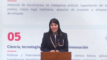 La ministra de Ciencia, Ximena Lincolao - Agencia Uno