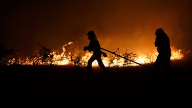 En libertad queda sujeto acusado de provocar un incendio forestal al usar una galletera