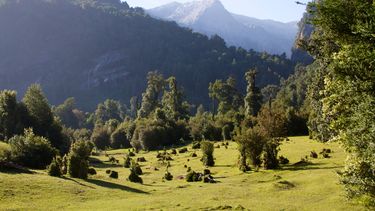 El Desconcierto | Chile_ _Cochamo_ 1.jpg