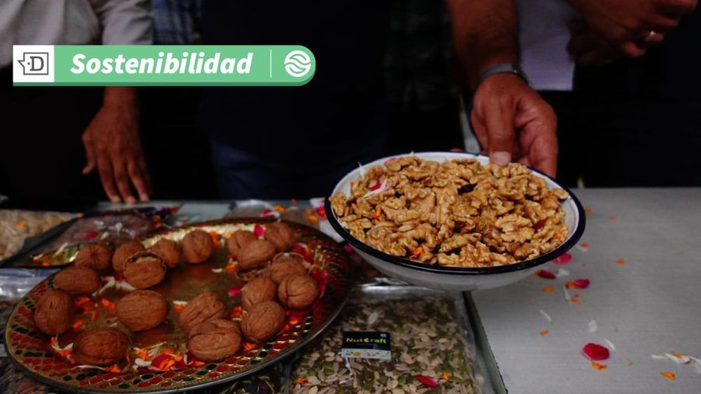 Chile se lanza como proveedor de alimentos sanos, seguros y sostenibles al mercado indio