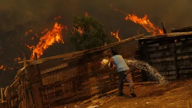El Desconcierto | a un ano del fuego en vina, chile encara el reto de  asumir  que es un pais de incendios.webp