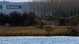 Soluciones basadas en la Naturaleza y humedales: Una inversión para el futuro