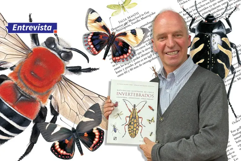 28994 bichologo.webp