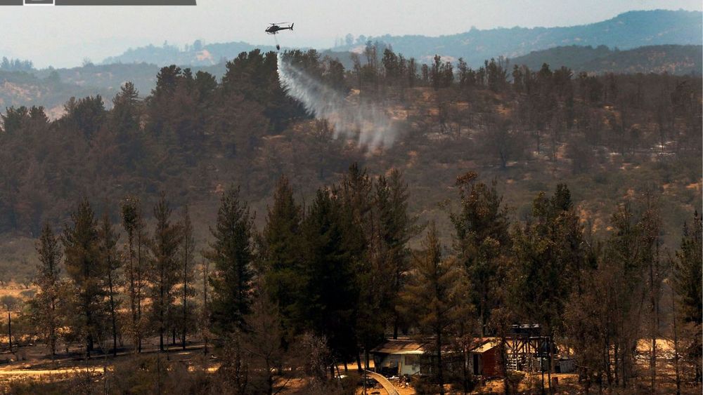 Un nuevo modelo forestal para enfrentar desastres climáticos