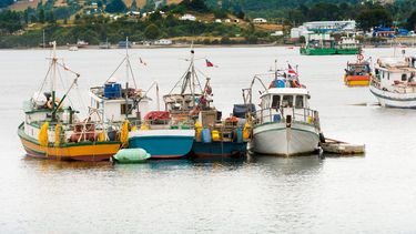 Pescadores artesanales organizan 1er Encuentro Nacional para enfrentar nueva Ley de Pesca