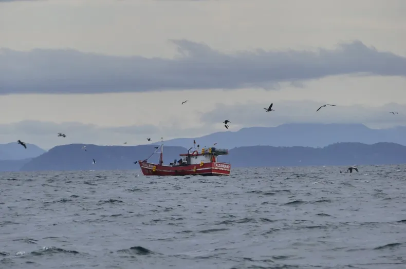 13293 caletas pesca.webp