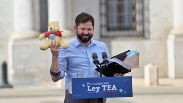 El Desconcierto | el mejor regalo que me pudo dar en mi cumpleanos transversal apoyo twittero por ley tea.jpg