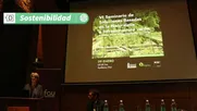 infraestructura verde y avances de su implementacion en chile a traves de soluciones basadas en la naturaleza