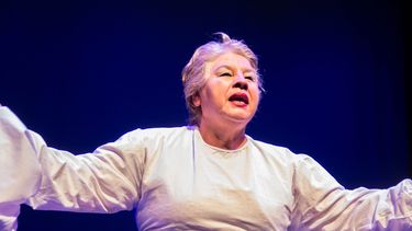 “Pabellón 2 Rematadas regresa a Teatro Mori Bellavista después de 20 años