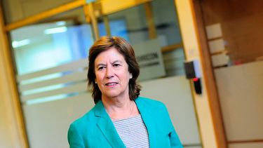 El Desconcierto | A_UNO_764243_9a07b.jpg