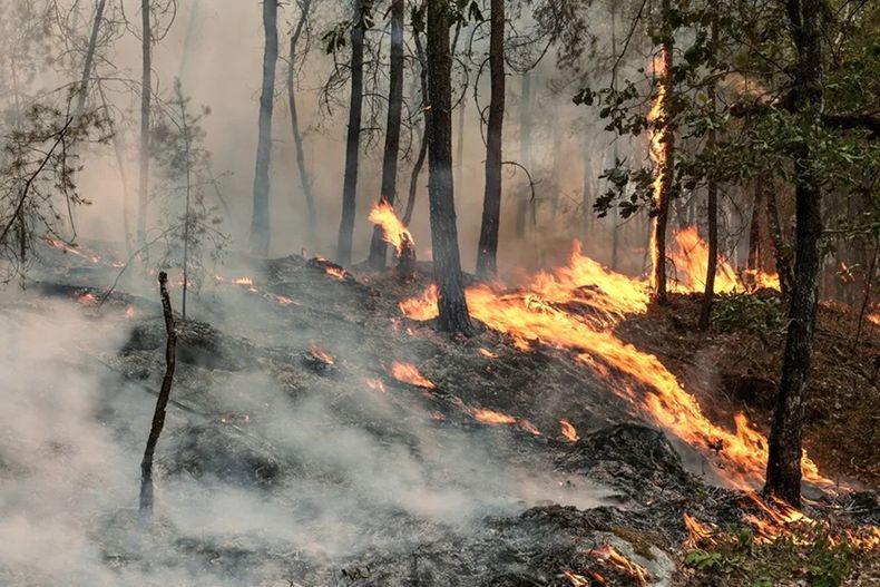 Imagen de los incendios forestales en Francia - Agencia EFE
