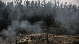 Calor extremo también azota a gran parte de Argentina: Siete provincias en alerta por incendios forestales