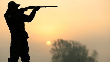 Colombia prohíbe la caza deportiva por considerar que solo causa crueldad y sufrimiento en los animales