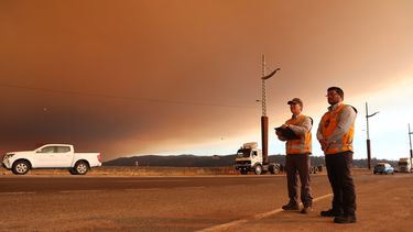 Rutas cortafuego redujeron a la mitad los incendios en Biobío en relación a cinco años atrás