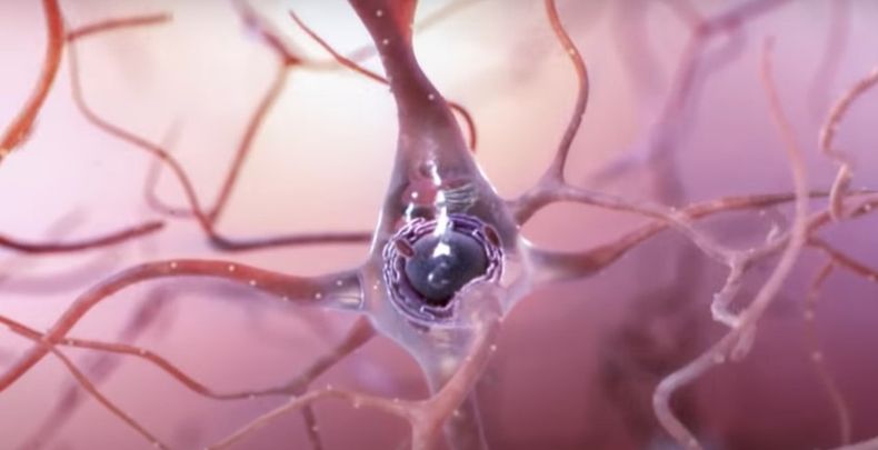 Alzheimer nota.jpg
