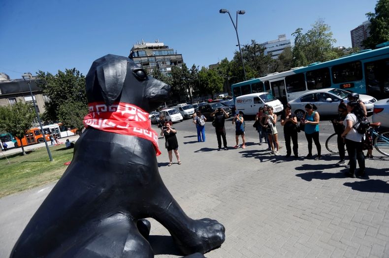 Perro Matapacos.jpg