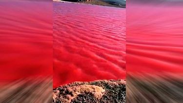 VIDEO| No era presagio del fin del mundo, era Chile: Enorme fake news se esparció en el mundo