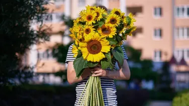 Día de las flores amarillas: Cómo nace, a quién se les regala y por qué cada 21 de marzo