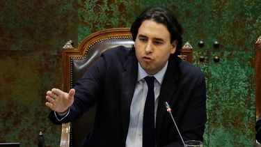 El Desconcierto | Vlado mirosevic.jpg