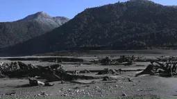 Colbún secó lago en Puerto Montt y la justicia obliga a repararlo, sumándose a corriente legal de restaurar la naturaleza