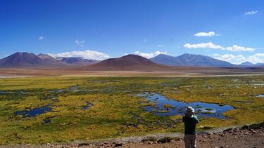 El Desconcierto | san pedro de atacama