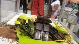 FOTOS| Falla en fábrica de chocolates provoca lluvia de cacao en Suiza y curioso Trending Topic en Chile