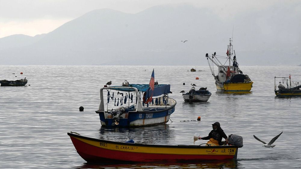 Imagen referencial de pesca artesanal - Agencia Uno