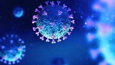 Perro del Infierno: ¿Cómo es la nueva variante de COVID-19 que alerta a expertos?