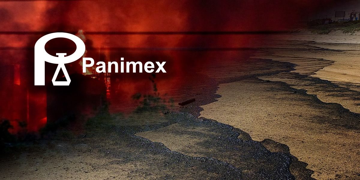 Incendio de Panimex en Quilicura revive su vínculo con Puerto Ventanas y una de las primeras sanciones de la SMA