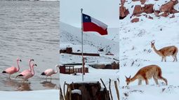 Las imágenes que dejó la nieve en el Desierto de Atacama - Captura de video