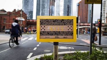 la ciudad de manchester se llena de pequenos habitats para preservar a las abejas